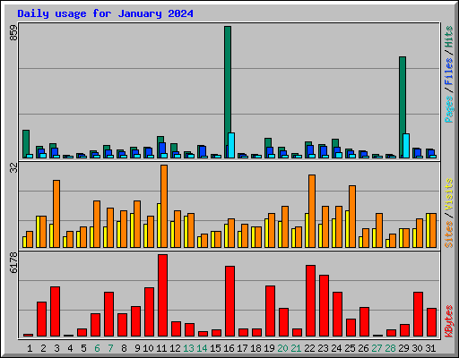 Daily usage for January 2024