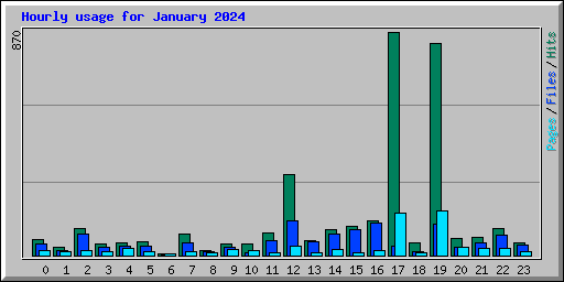 Hourly usage for January 2024
