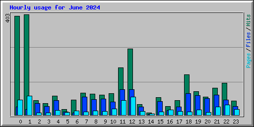 Hourly usage for June 2024