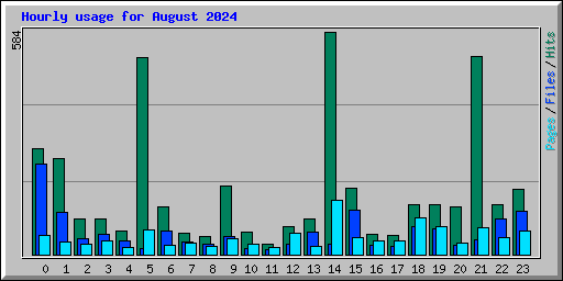 Hourly usage for August 2024