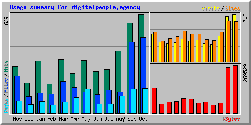 Usage summary for digitalpeople.agency